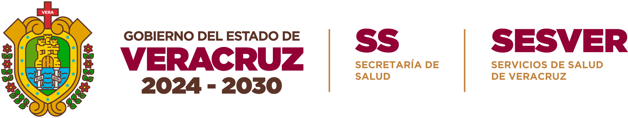 Servicios de Salud de Veracruz